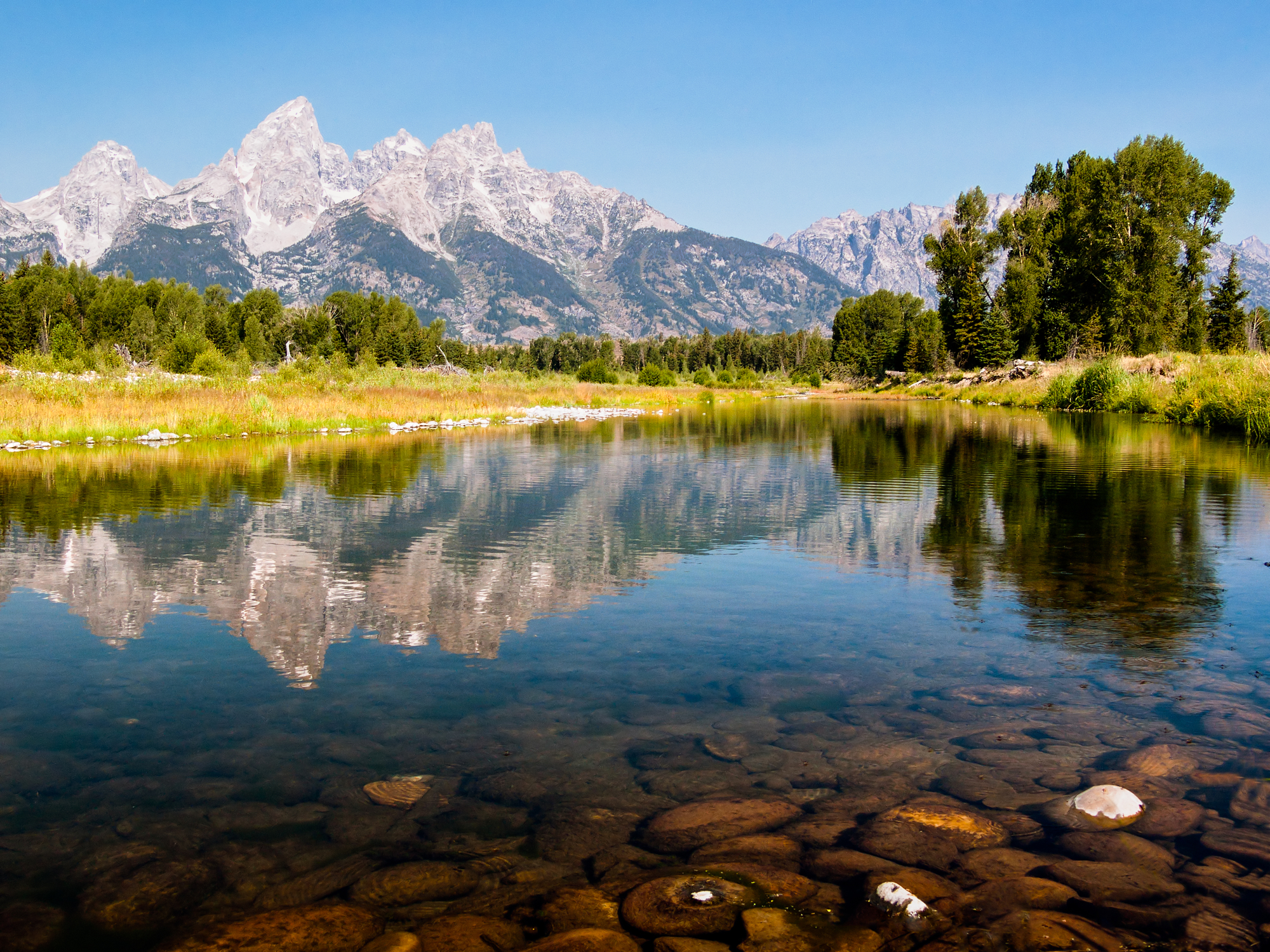 Snake River Reflection